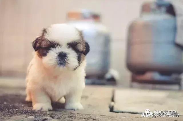 相机原理及操作使用教学,单反相机的基本操作