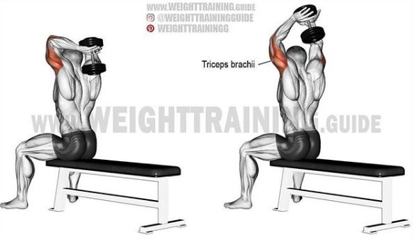 胸肩背臂腿腹训练动作,腰臀肌肉训练方法