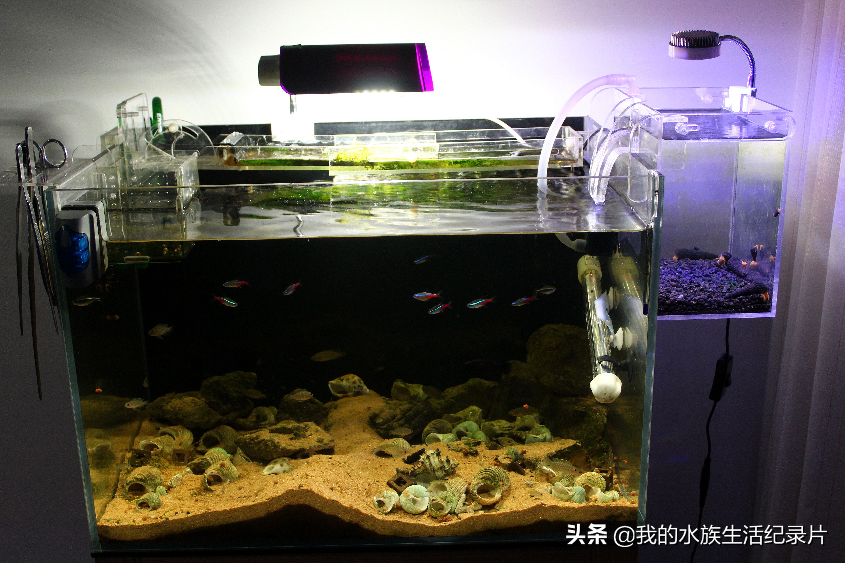 亚克力板鱼缸过滤器自制纯手工,亚克力壁挂鱼缸过滤器制作