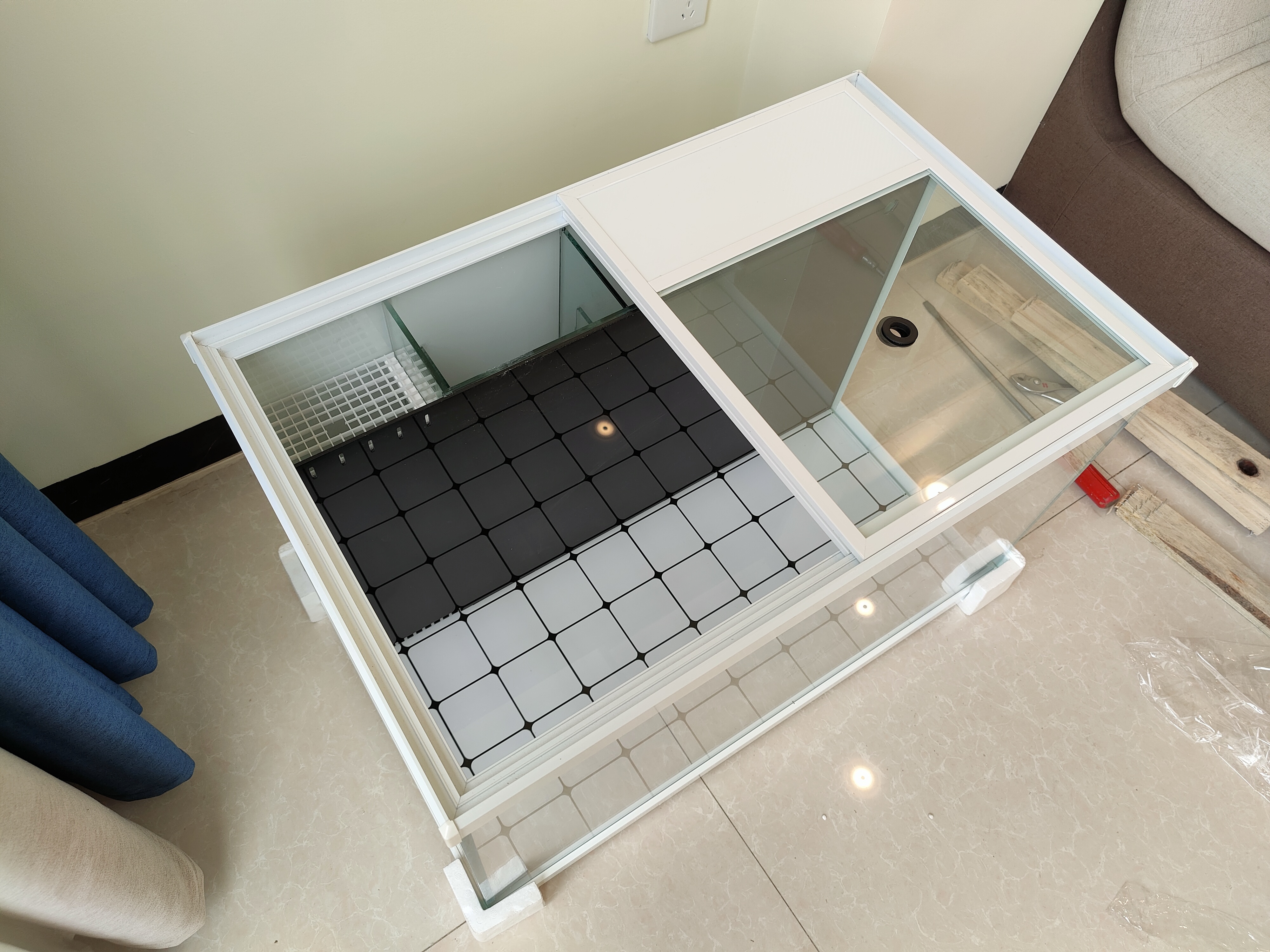 花4块钱买的小鱼缸也太便宜了,80cm的鱼缸适合养多少条发财鱼