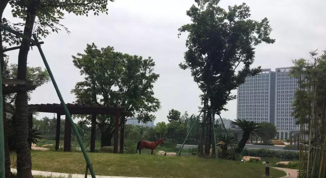 踩盘了解房源信息,温州龙湾滨海新区