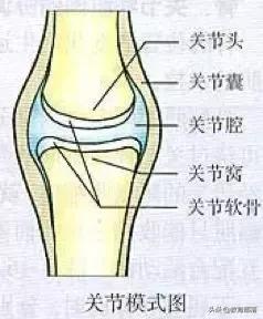 初中生物会考复习计划,初中生物会考复习资料全套