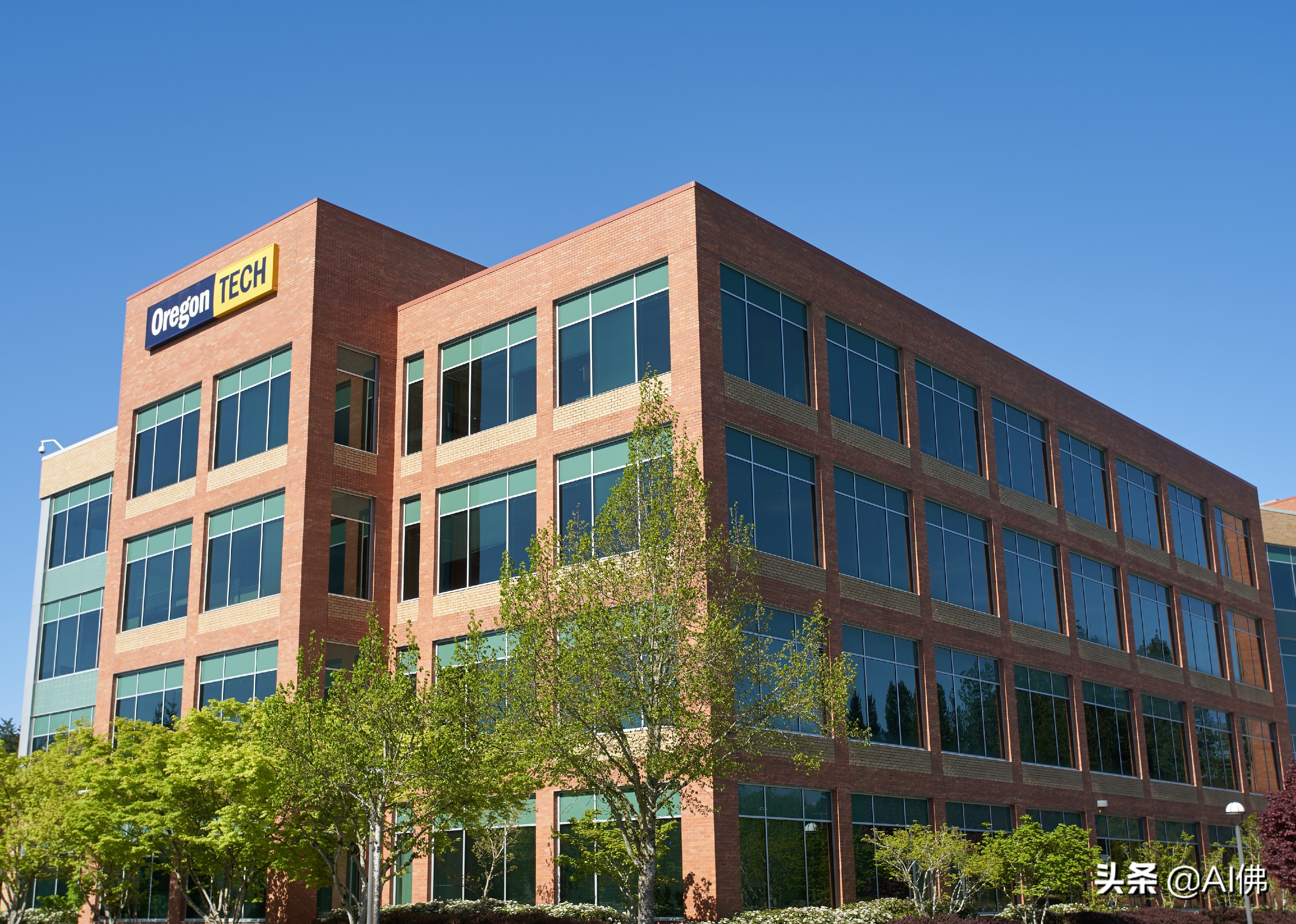 美国东部公立大学排行榜,美国各州最好的公立大学