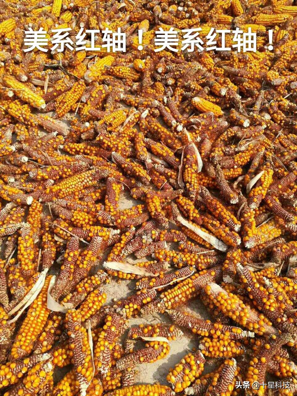 卖农资产品怎么让农民相信你,为什么卖农资被瞧不起