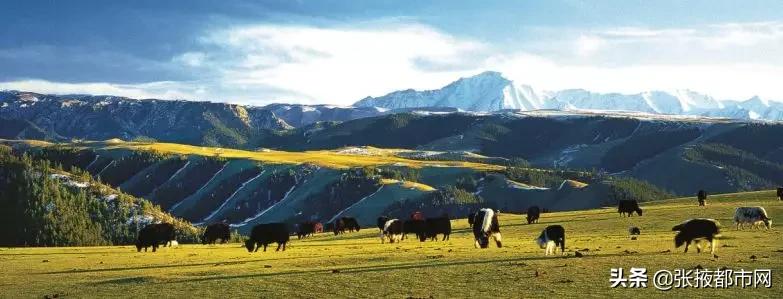 张掖景点免门票政策最新,张掖景点门票免费政策最新