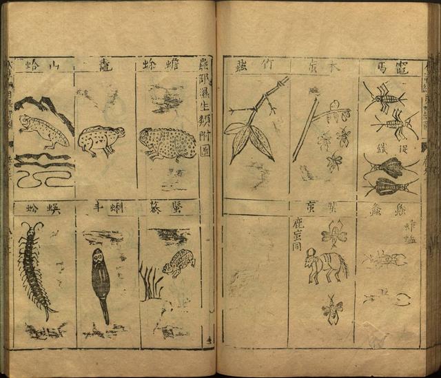 李时珍与本草纲目ppt课件,神农本草经正版李时珍书籍