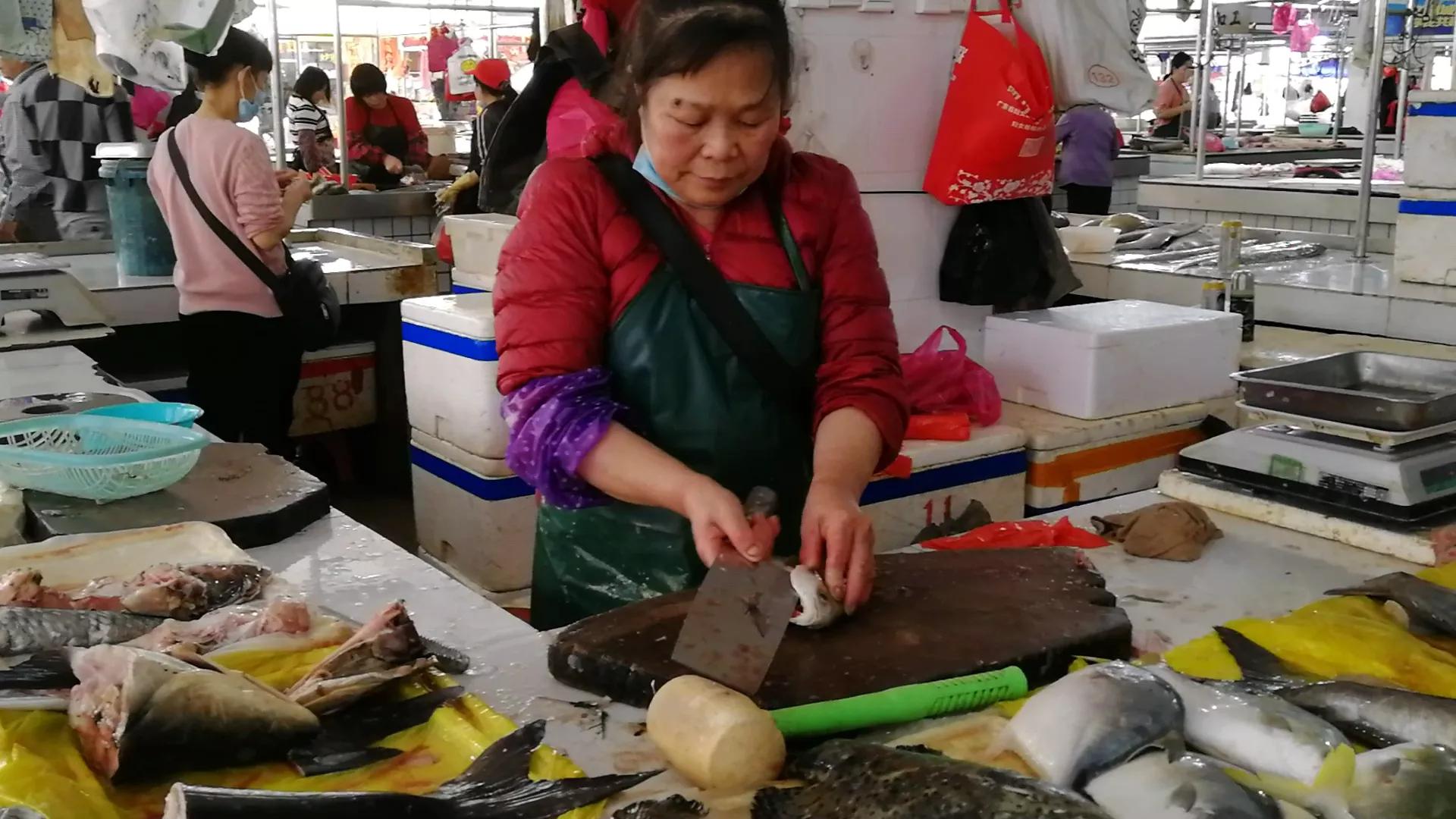 阳江海陵岛白蒲镇海鲜市场,海陵岛白蒲镇有什么好玩的地方