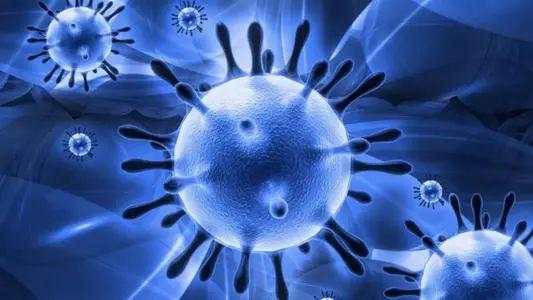 新型冠状病毒最可怕的一件事,新型冠状病毒排行榜