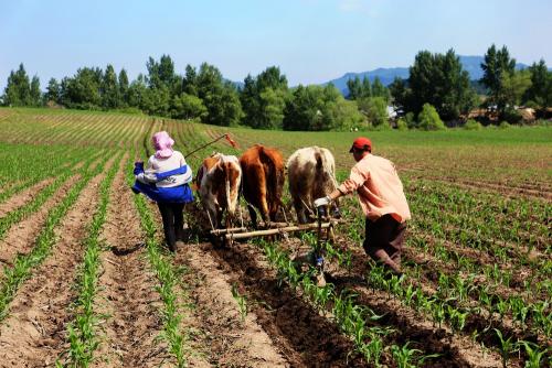 王来春打工妹逆袭百亿女富豪,立讯精密董事长王来春个人简历
