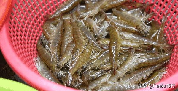 广东著名渔港开渔,广东开渔季节