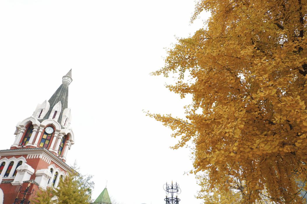 旅游三亚和厦门哪个更值得去,三亚和厦门哪一个更值得去旅游