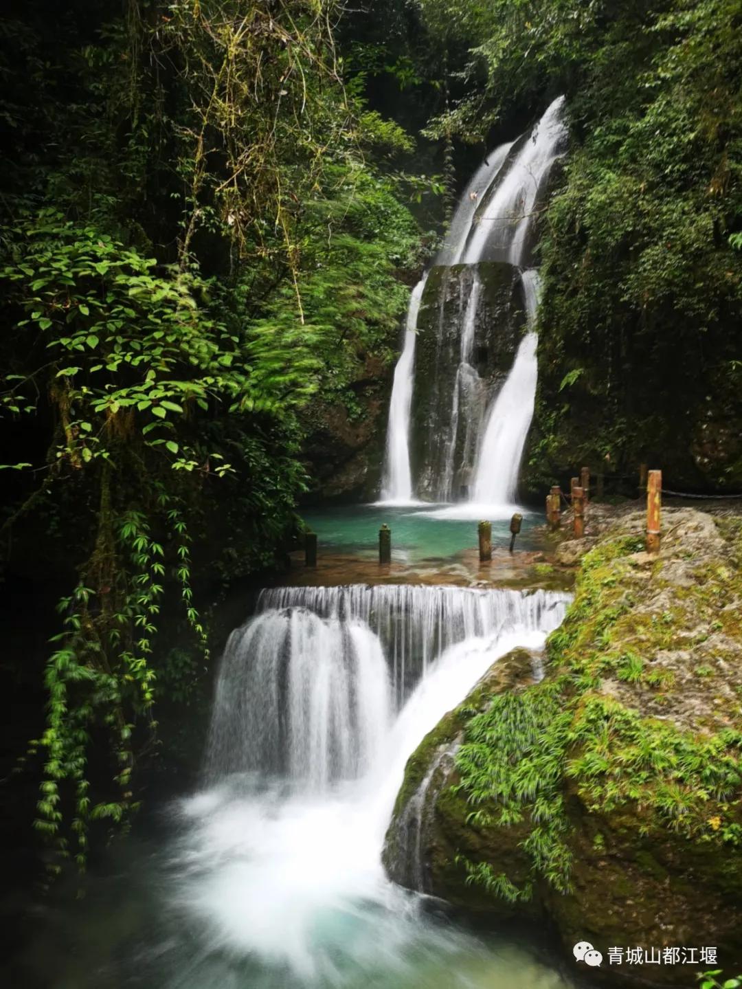 青城山熊猫谷都江堰一日游攻略,熊猫谷青城山都江堰一日游攻略