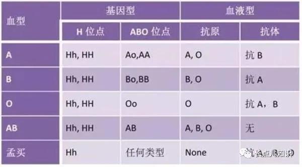 孟买血型和什么血型人能生孩子,什么血型结合可以生下孟买血型