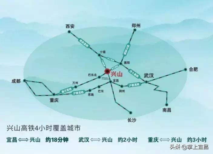 松子榛子,榛子东北榛子