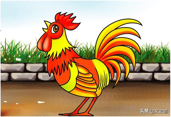 猫猫为什么不在12生肖里面,十二生肖为什么没有猫咪呢