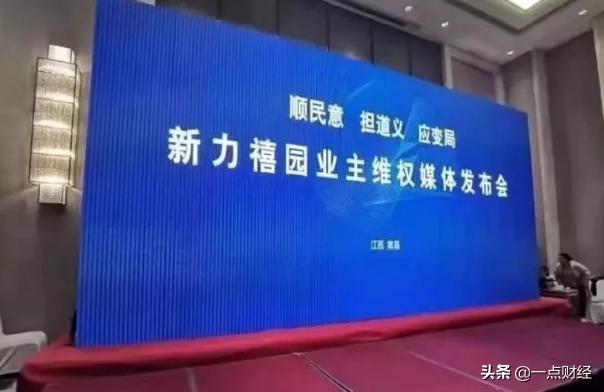 江西新力地产老板张园林做什么,新力地产董事长张园林晋江人吗