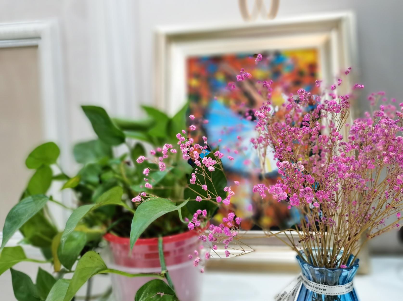 光荣30s放大20倍拍照评测,光荣30s测评大米