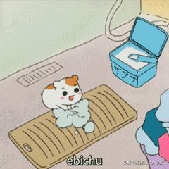 直降20度的天气,直降蹦极