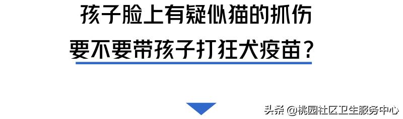 如被猫狗咬伤或抓伤应如何处理,被猫狗咬伤在多少小时之内打疫苗