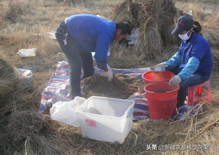 盐碱地可以用醋来稀释吗,土壤盐碱化用白醋还是黑醋