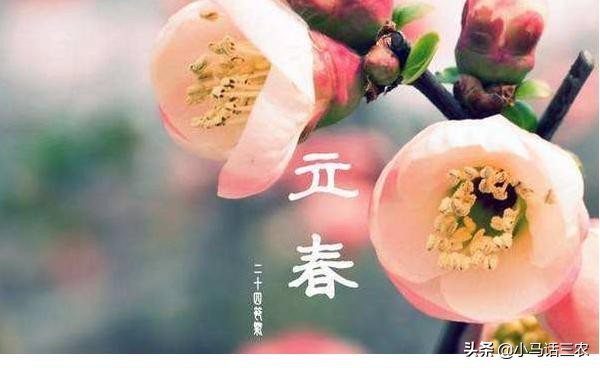 2019年属于双春年吗,2020双春年是哪几天