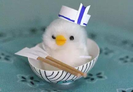 鸡蛋壳手工作品创意幼儿园,碎鸡蛋壳手工粘贴画动物图案