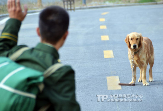 全民k歌被自动扣费怎么投诉,全民k歌被处罚