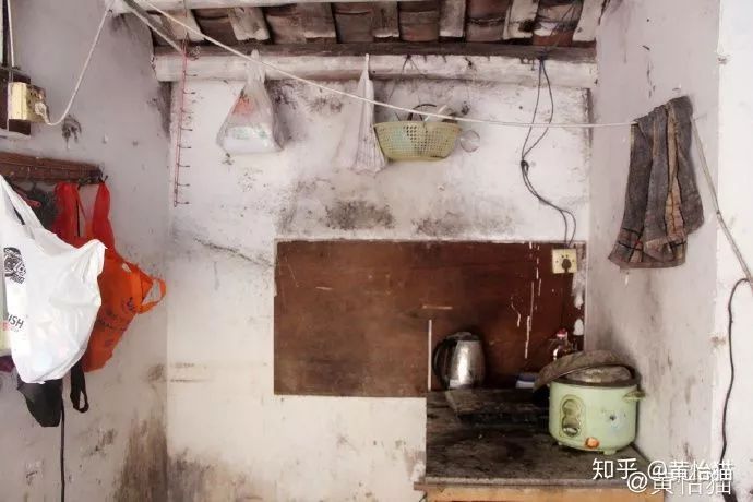 淘宝一斤猫粮多少钱,淘宝猫粮什么牌子好又便宜