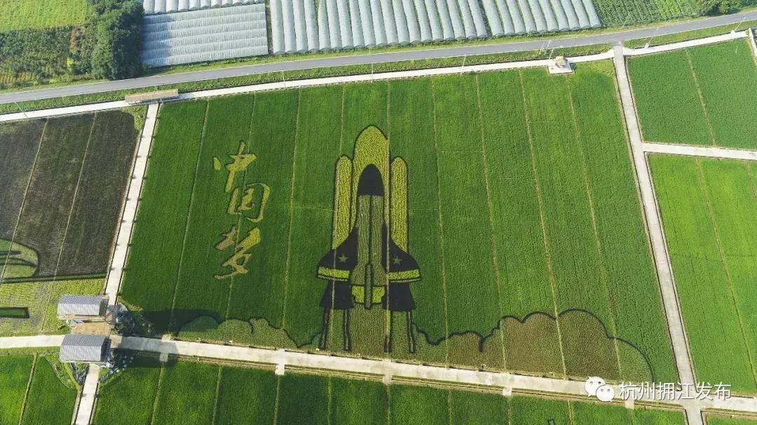 震撼！钱塘江畔出现巨型画作，有28个足球场这么大！