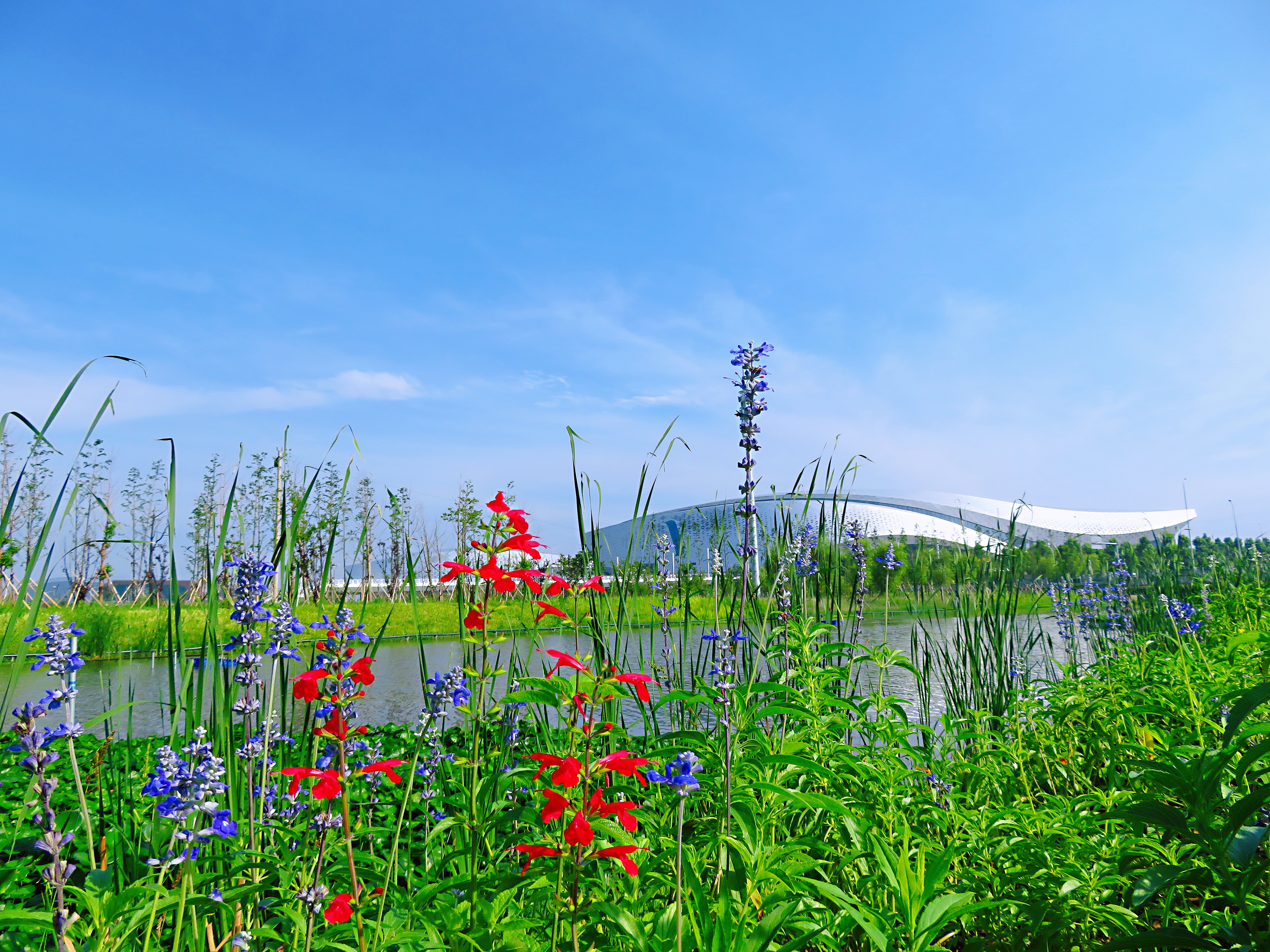 宁波附近野外潜水的地方有哪些,宁波哪里玩适合带小孩水上乐园