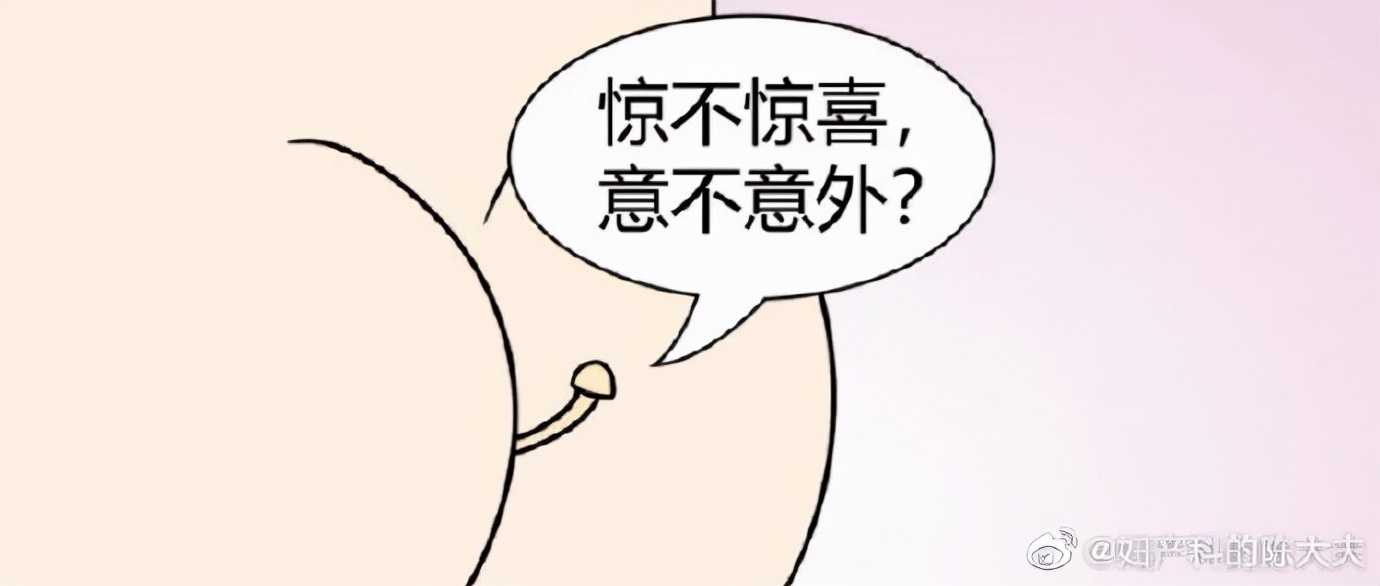 seeyoutomorrow金针菇什么梗,金针菇seeyoutomorrow