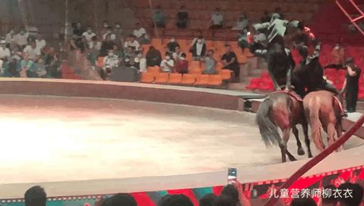 暑假内蒙古旅游攻略亲子,暑假亲子游玩内蒙古5天4夜