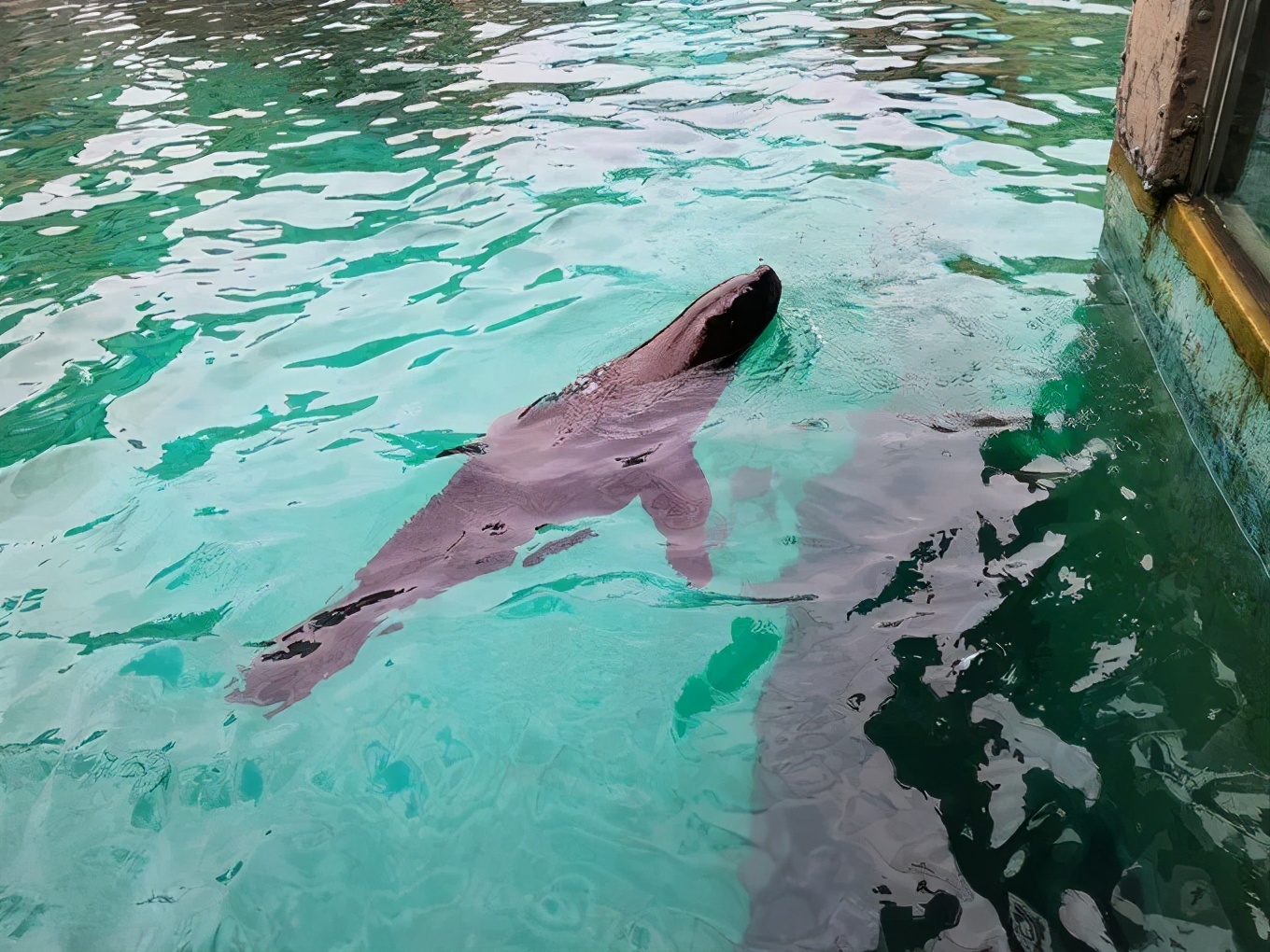 大连金石滩冬天一路美景,漫步在大连金石滩的黄金海岸