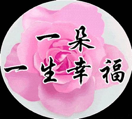 适合说早安的表情包,早安暖心话表情包图片