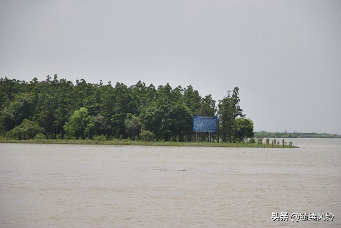 珠海竹洲水松林，意外发现的珠中江“SB”界碑，究竟作何解释？