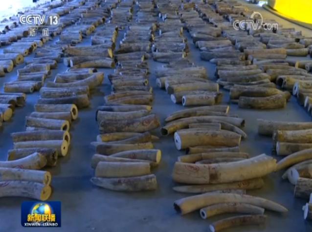 孙杨为什么200米夺冠,孙杨200米夺冠时间表