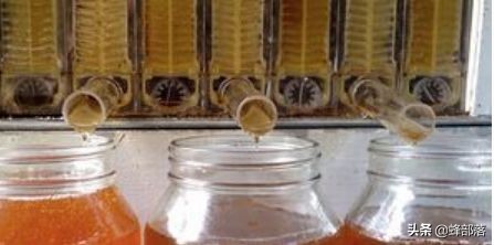 最便宜的蜂箱多少钱一个,蜂箱价格40元是真的吗