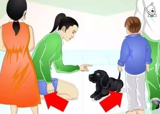 训练拉布拉多犬视频教程全集,如何训练拉布拉多犬教程