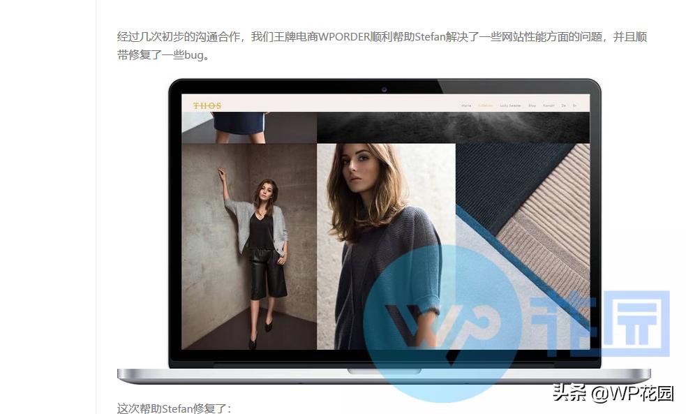 图片帮你引流：ALT是啥？对SEO有什么用？WordPress如何添加ALT？