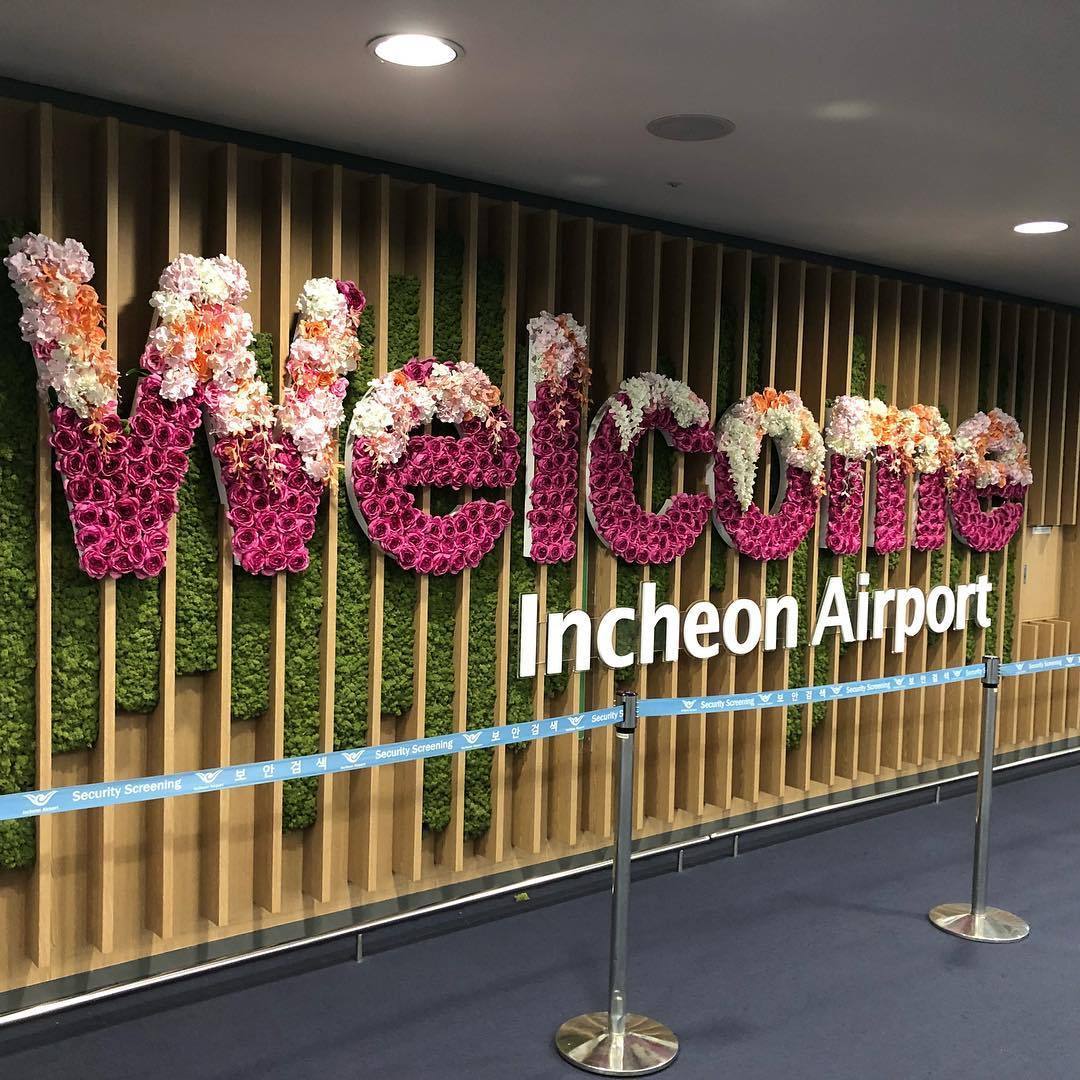 免税店比较值得入手的东西,去免税店值得购买的平价好物