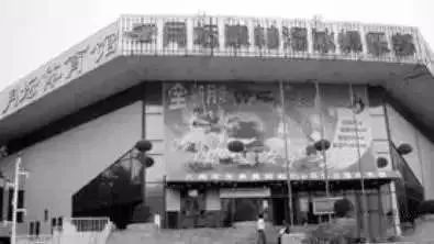 月坛银杏,月坛公园有银杏吗