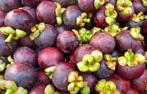 山竹怎么挑选公母,山竹怎么挑选果核少的