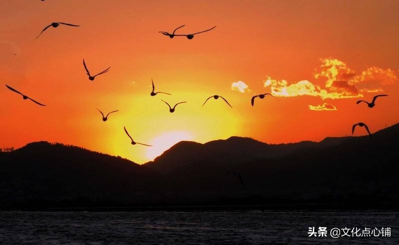 床前明月光诗里面床指的什么意思,古诗床前明月光这个床指的是什么