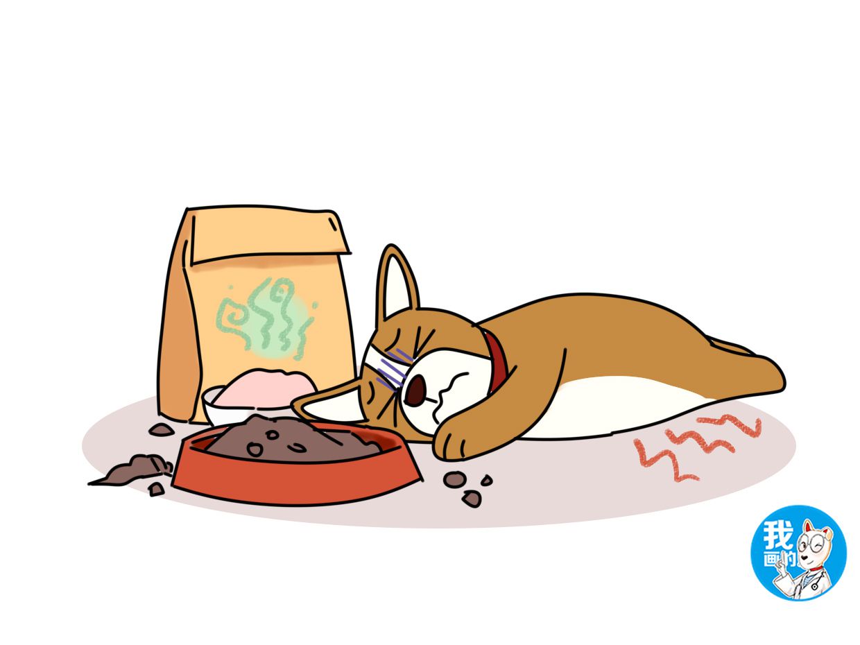 狗狗急性胃炎呕吐用什么药,狗狗胃里有异物呕吐怎么办