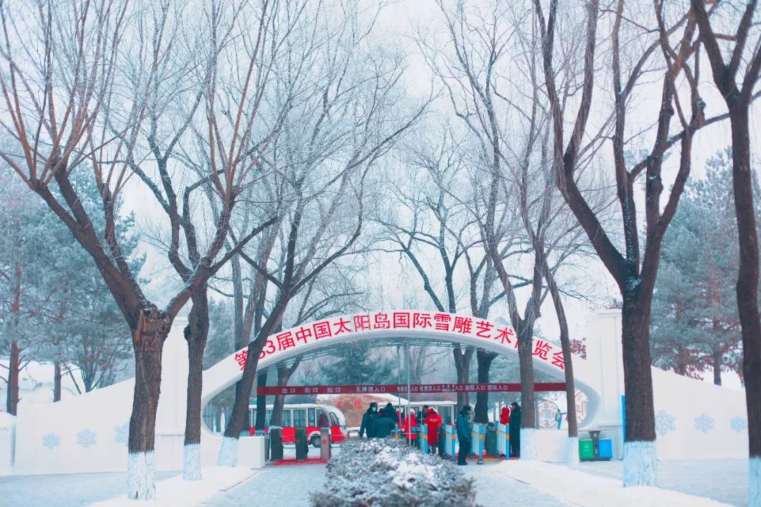 哈尔滨特点烧烤排行榜前十,哈尔滨必吃的10家烧烤