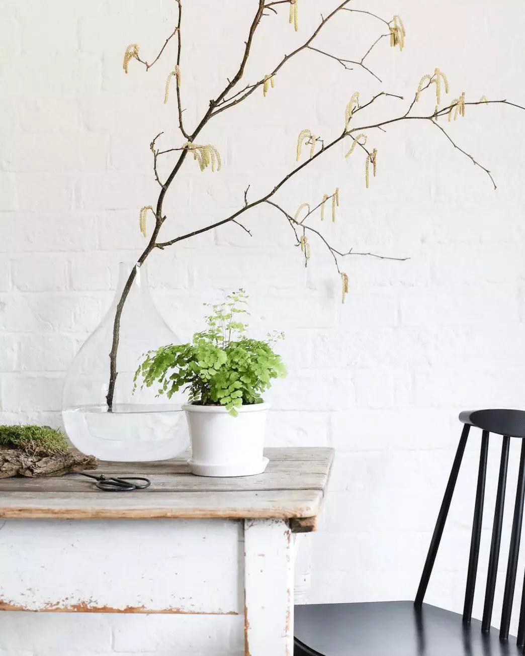 瓶子配花的方法,干花怎么配瓶子