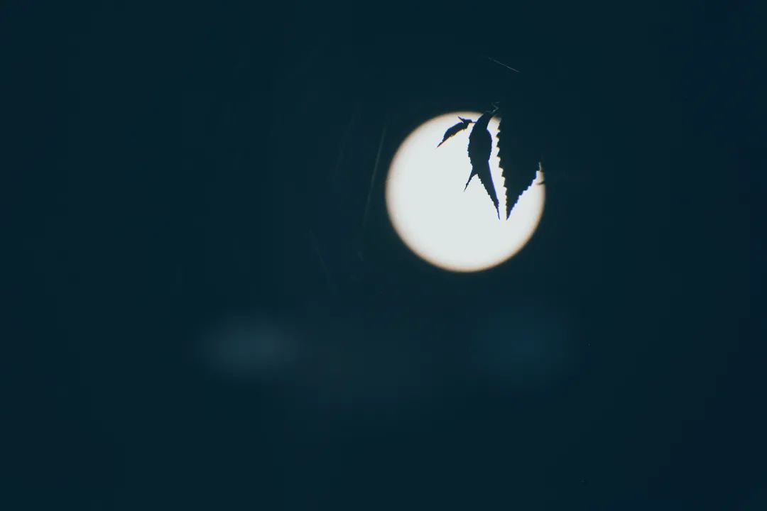 最好的月亮拍摄方法,真实的月亮星空怎样拍才好看