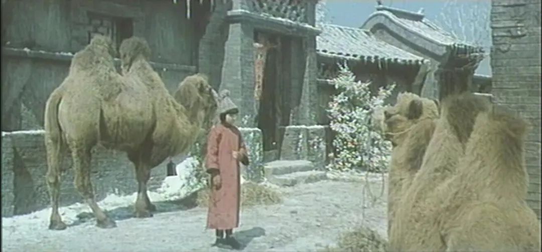 36年前国产动画片,36年前最火的一部国产电影