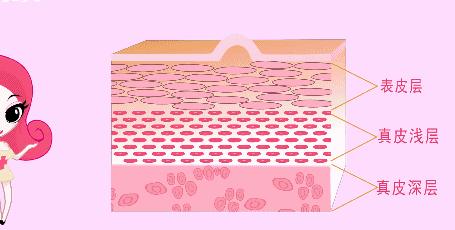 如何疏通脸上毛孔收缩毛孔,脸上毛孔粗大用什么就会收缩毛孔