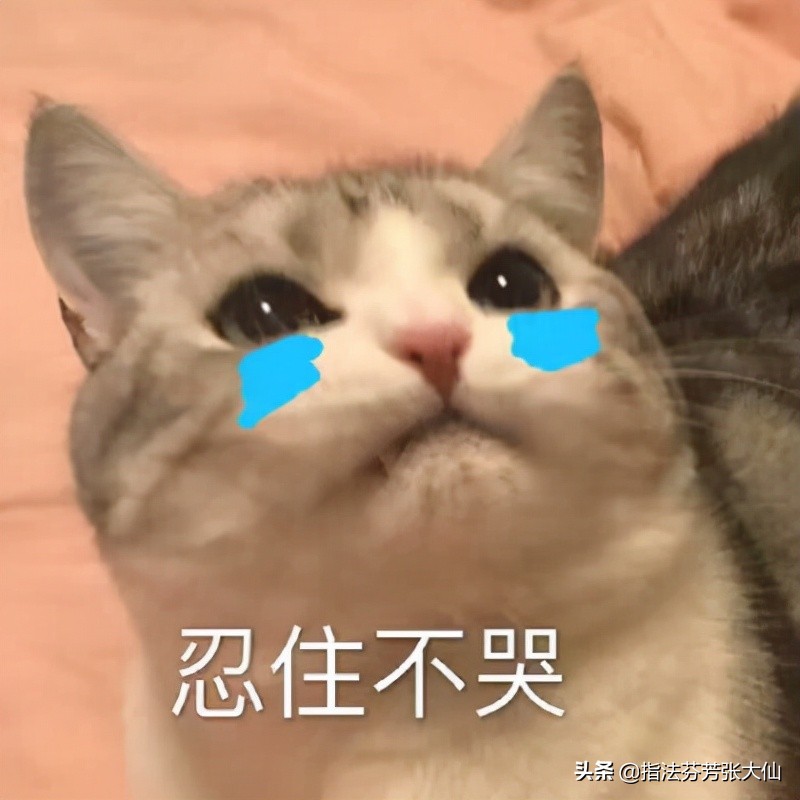 周年庆限定皮肤返场,周年庆限定皮肤返场预测